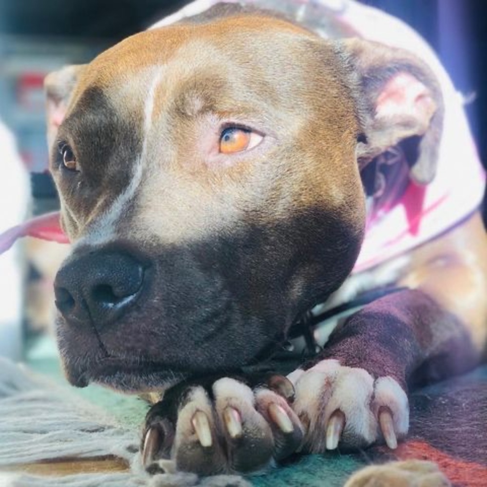 Meet your Posher, Rocío